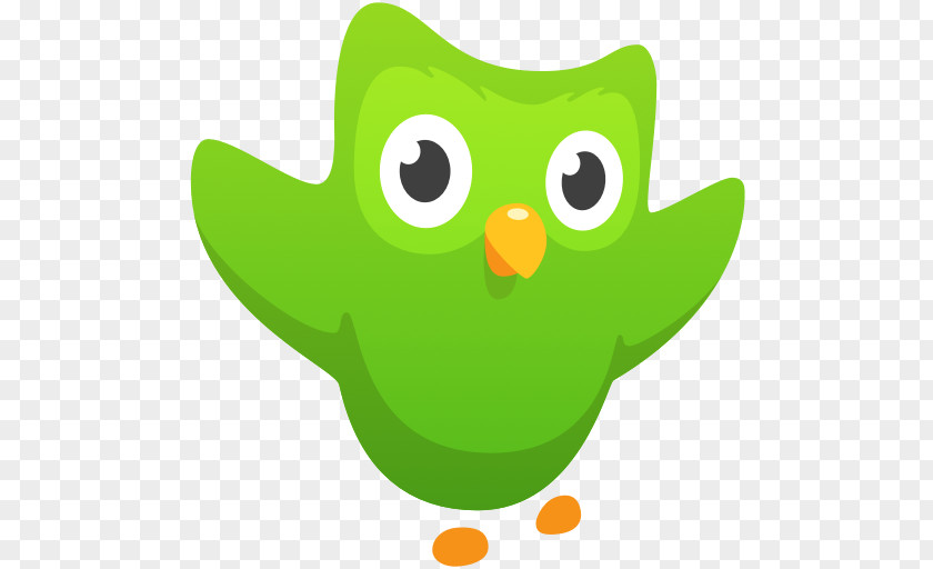 Duolingo Memrise Learning Language Education PNG