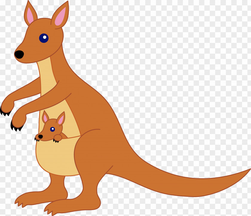 Kangaroo Illustration Free Content Clip Art PNG