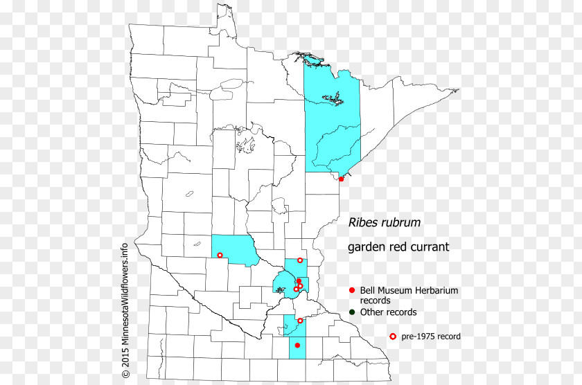 Line Point Land Lot Angle Map PNG