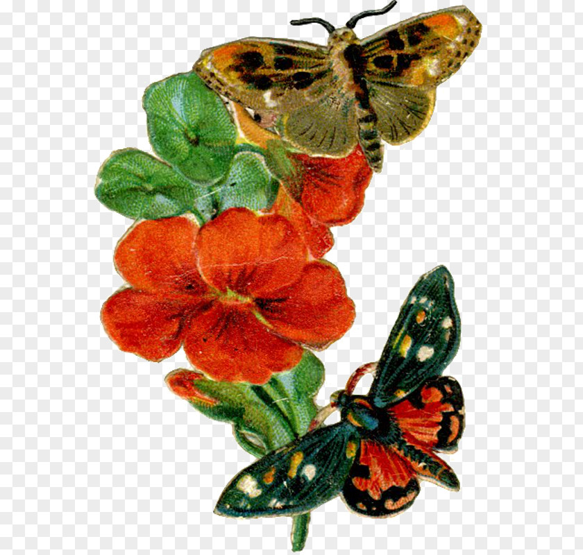 Monarch Butterfly Victorian Era Bokmärke Moth PNG