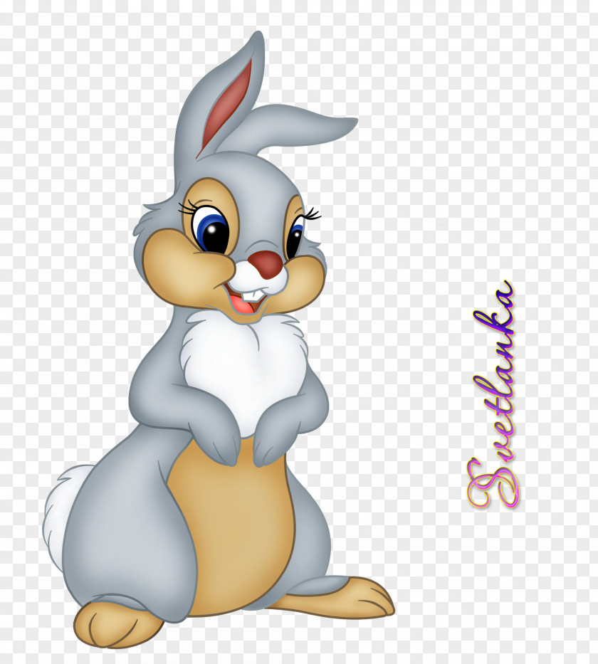 Rabbit Thumper Faline Clip Art PNG