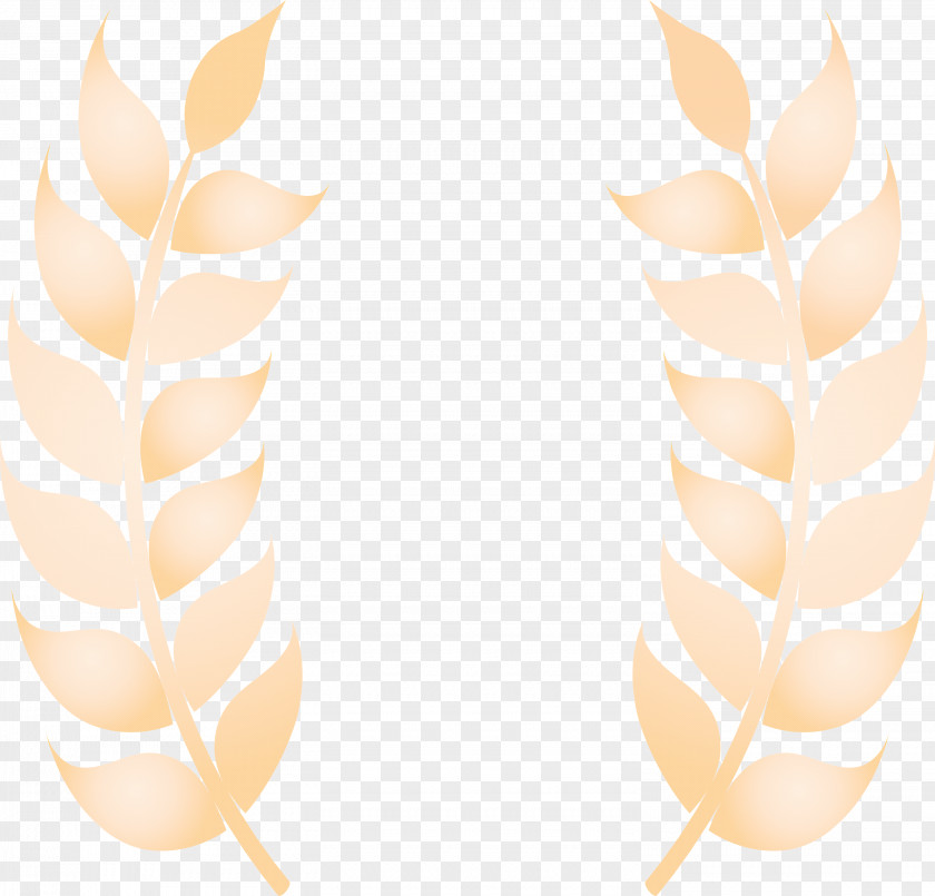 Wheat Ears PNG