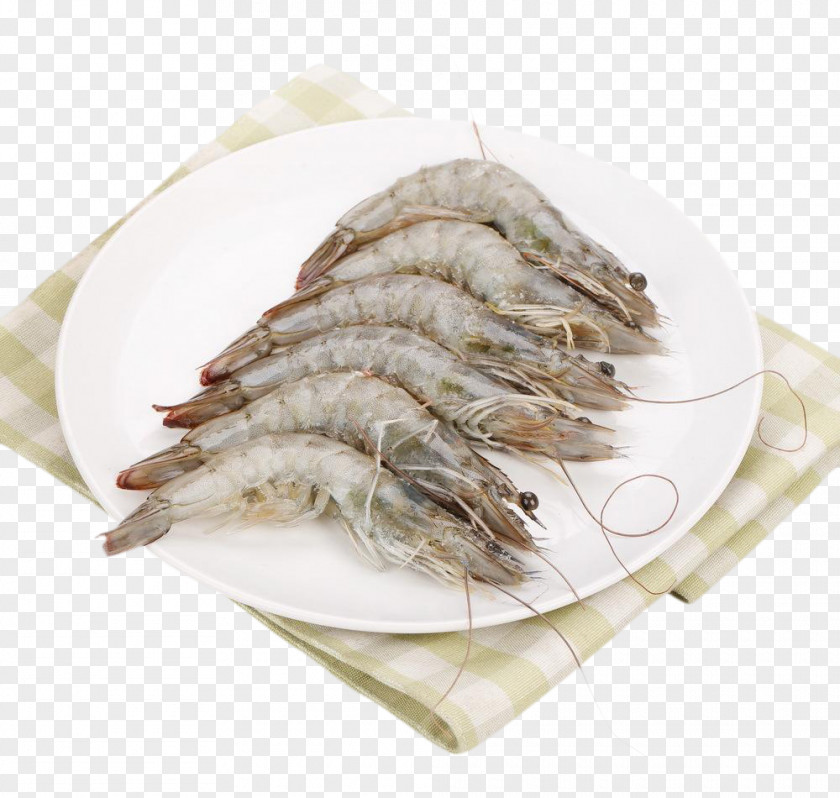 Arctic Sweet Shrimp Pandalus Borealis Fried Rice Whiteleg JD.com PNG