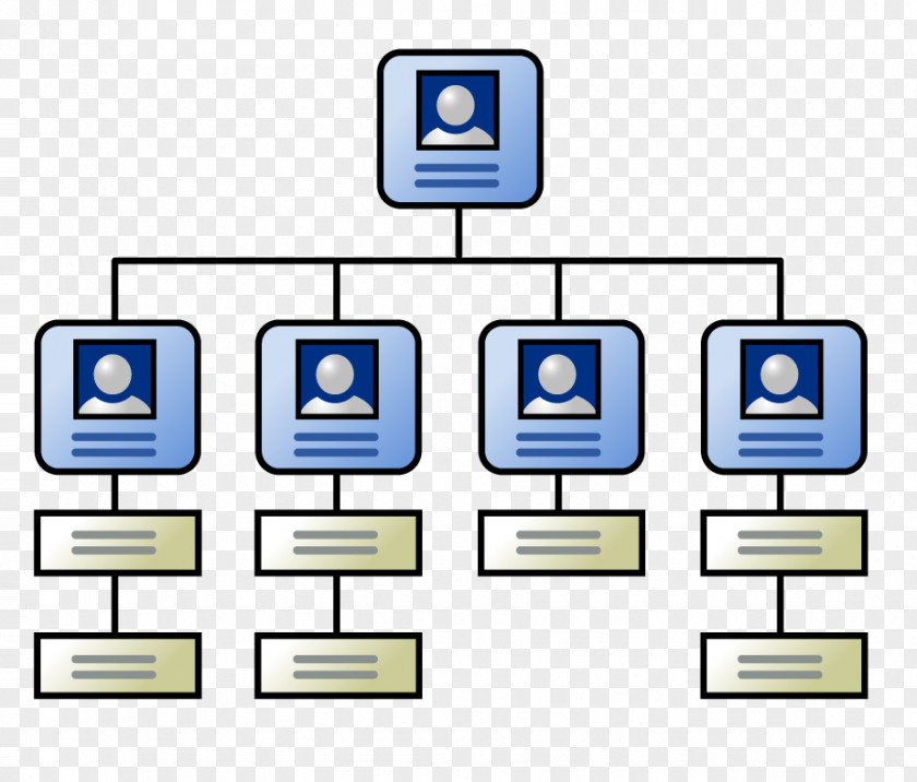 Chart Organizational Structure Company Management PNG