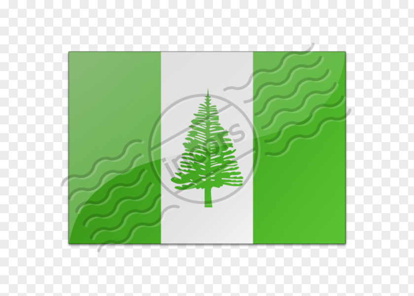 Christmas Flag Of Norfolk Island Ornament Rectangle PNG