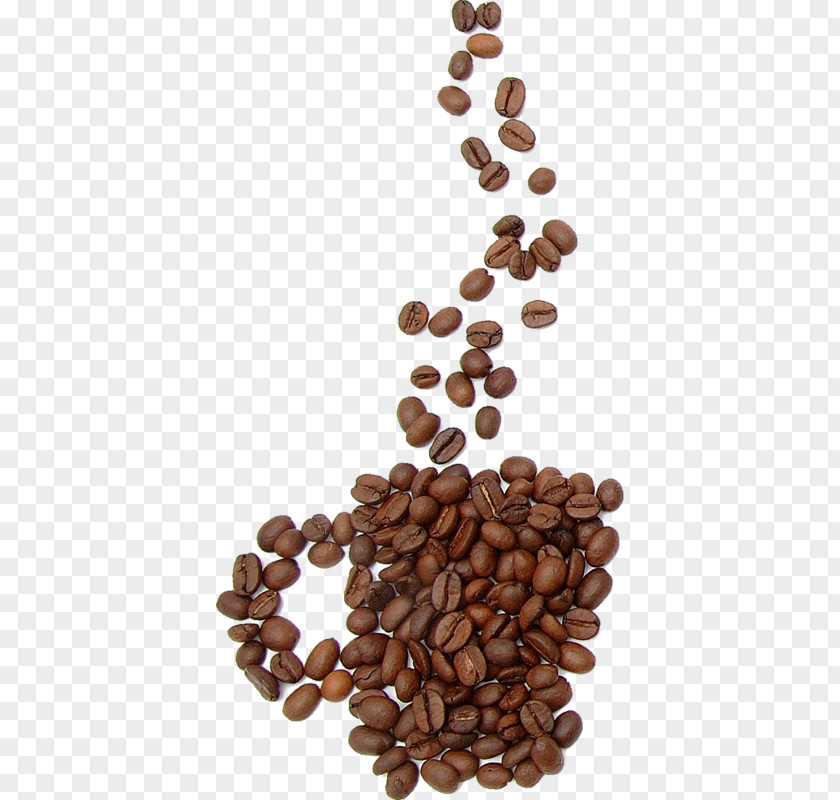Coffee Jamaican Blue Mountain Cup Design Bean PNG