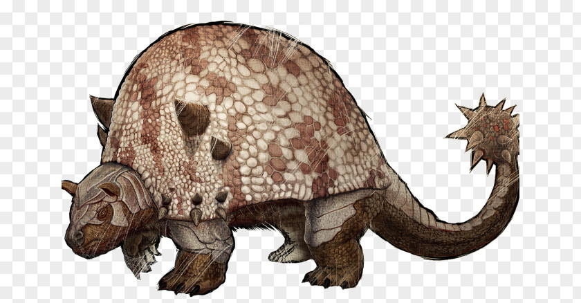 Dinosaur ARK: Survival Evolved Ankylosaurus Doedicurus Clavicaudatus Giant Armadillo PNG