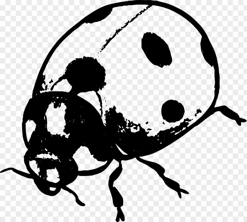 Insect T-shirt Ladybird PNG