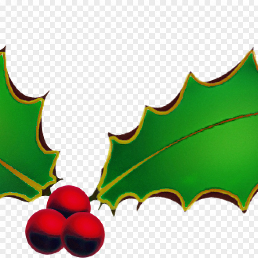 Plane Woody Plant Holly PNG