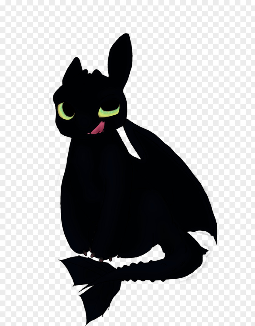 Toothless Cat Whiskers Mammal Carnivora Animal PNG