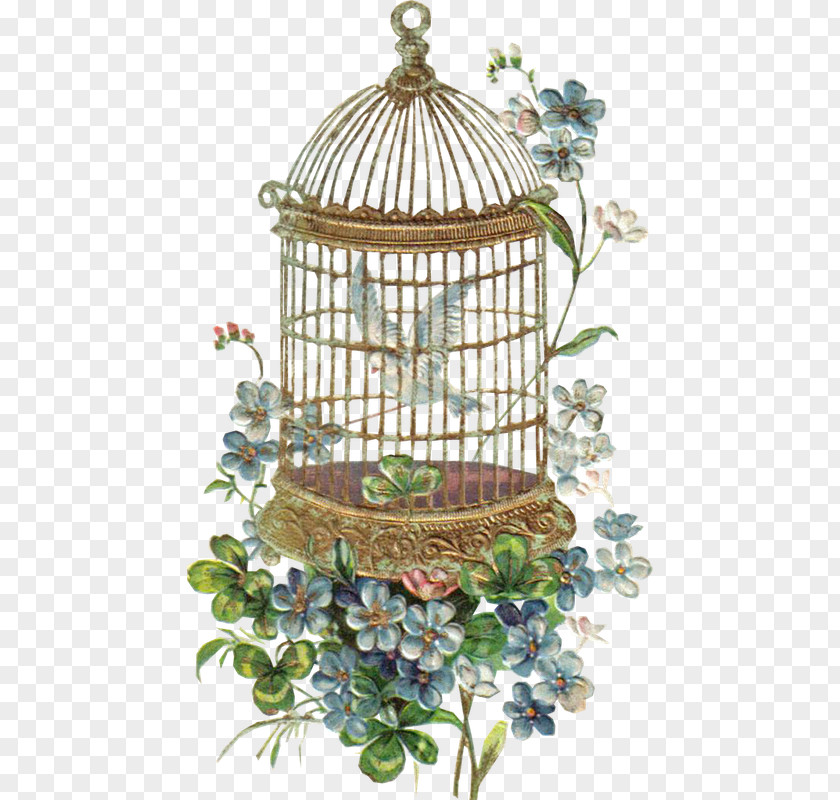 Victorian Bird Cages Paper Era Bokmärke Collage Decoupage PNG