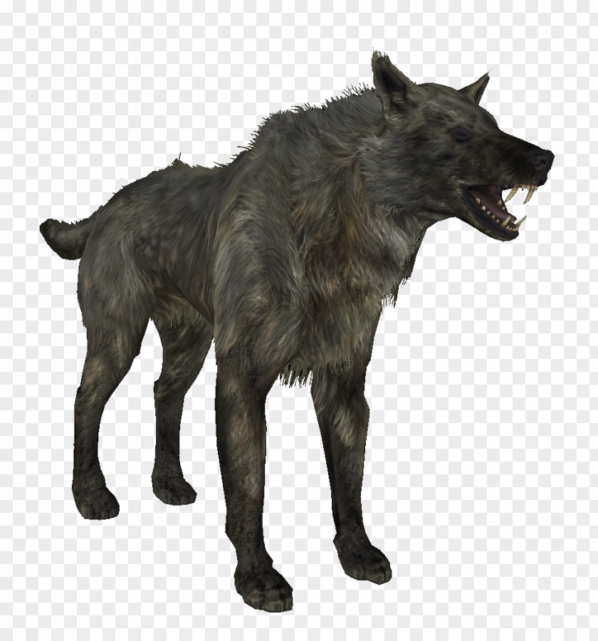 Wolf Pack Gray Oblivion WolfQuest The Elder Scrolls V: Skyrim – Dragonborn American Pit Bull Terrier PNG