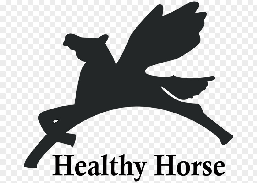 Bemer Therapy Healthy Horse Logo Pet Canidae PNG