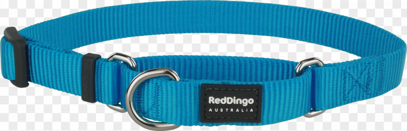 Dog Collar Dingo Martingale PNG