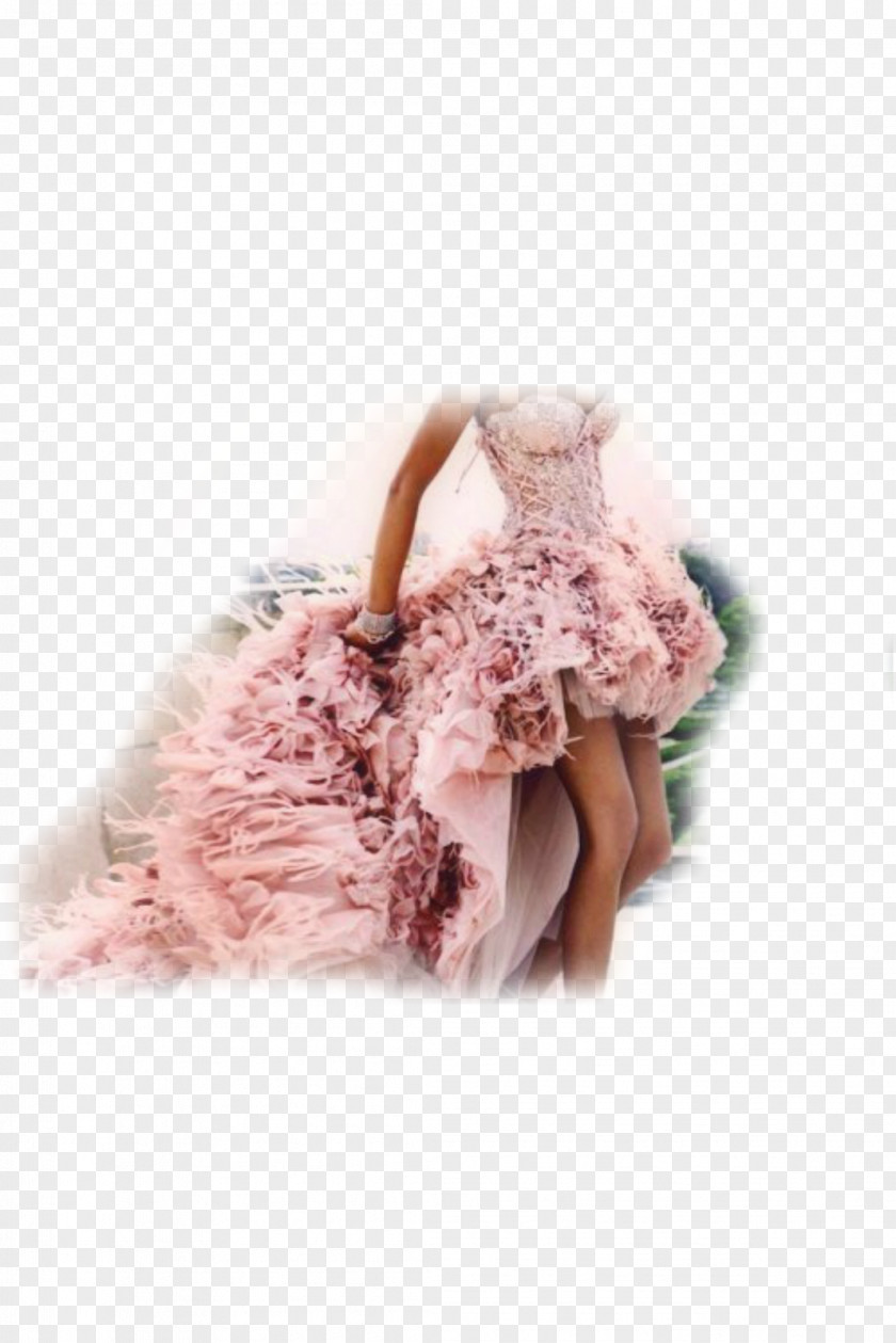 Dress Wedding Bride Train PNG