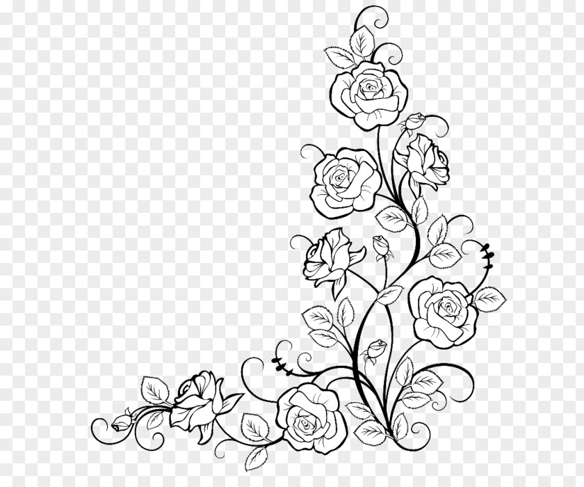 Rose Borders And Frames Coloring Book Drawing Flower PNG