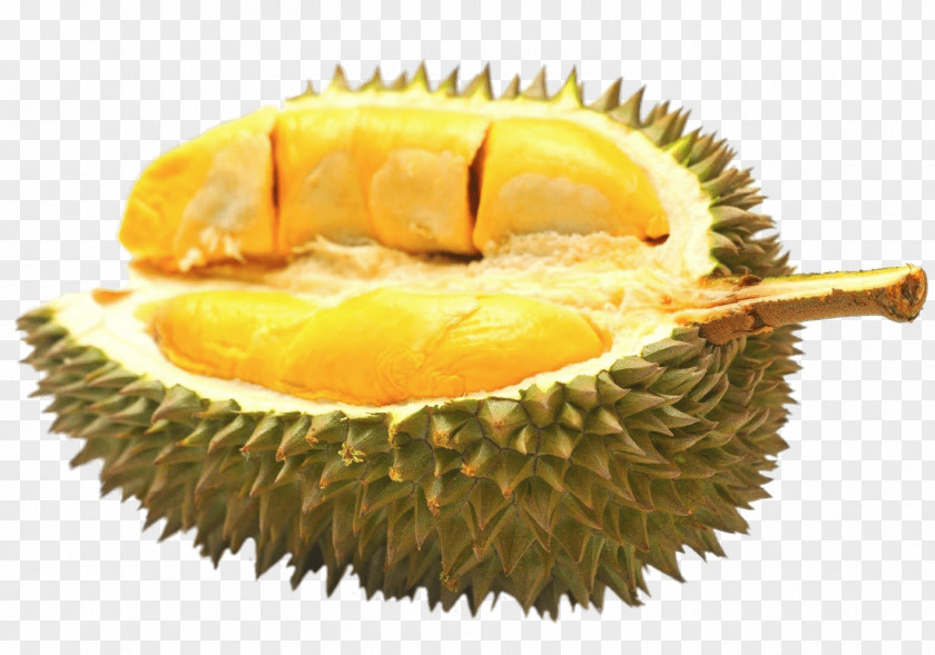 Tropical Fruit Durio Zibethinus Durian Pancake Auglis Flavor PNG
