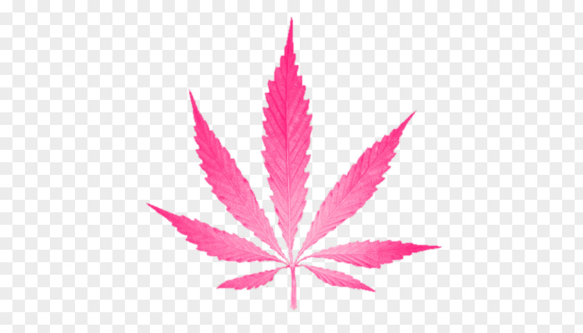 Cannabis Leaf Hemp Spots Clip Art PNG