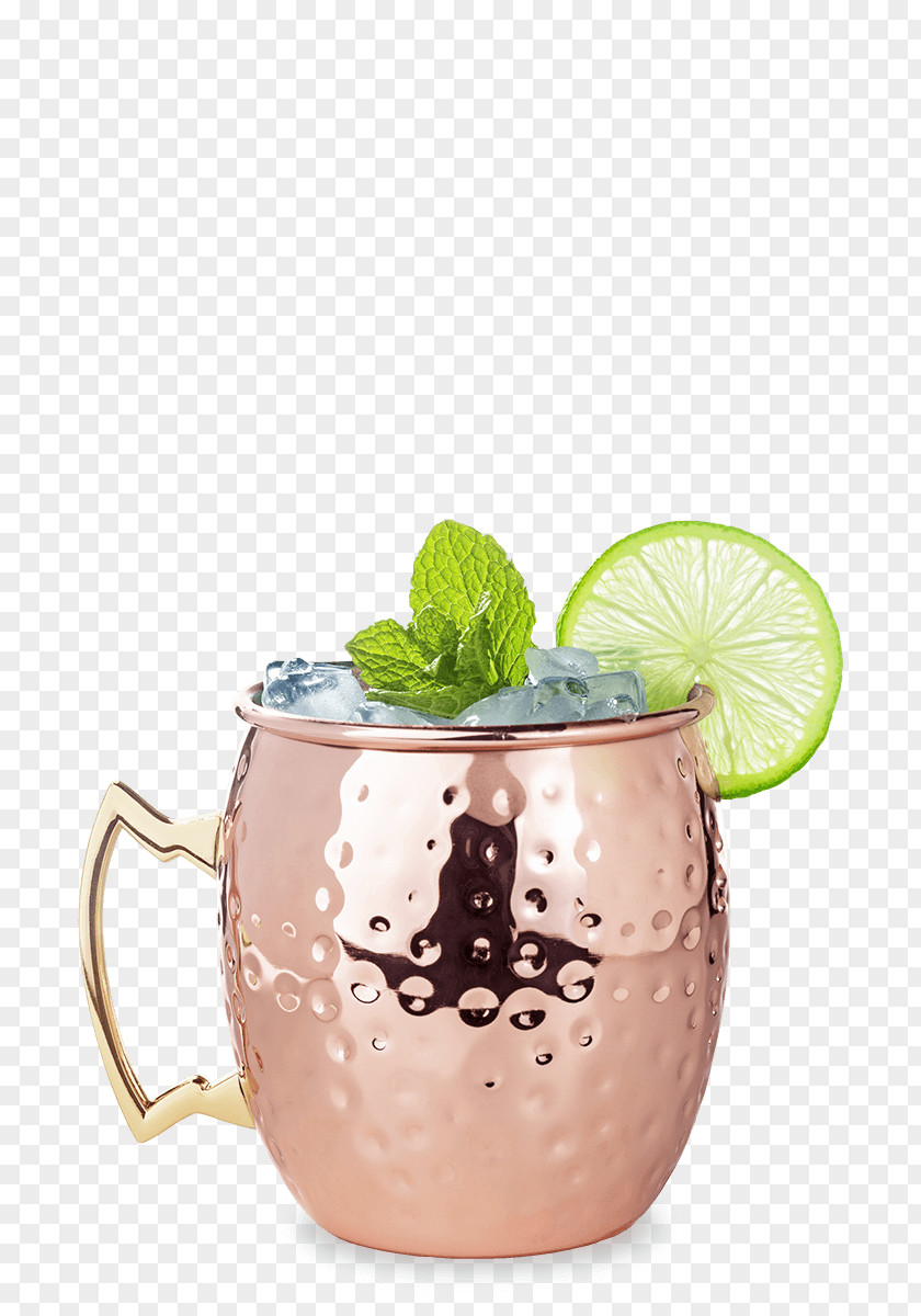 Cocktail Moscow Mule Buck Ginger Beer Vodka PNG
