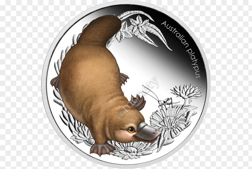 Coin Monotreme Platypus Mammal Gold PNG