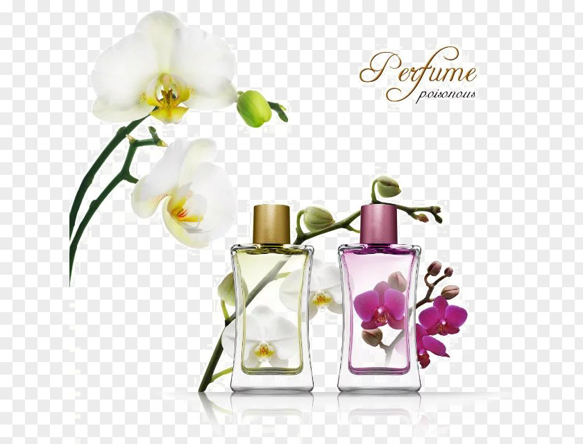 Exquisite Small Bottle Perfumer Eau De Toilette IPRA Fragrances Aroma Compound PNG