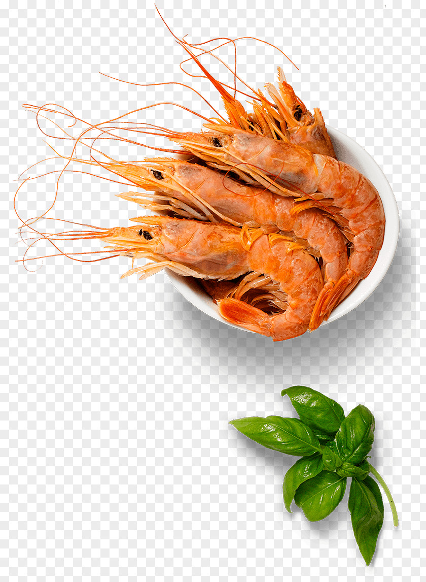 Shrimp Caridea Prawns Recipe Dish Garnish PNG