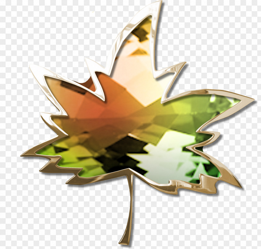 Autumn Leaf Butterfly Flowering Plant Tree 2M PNG