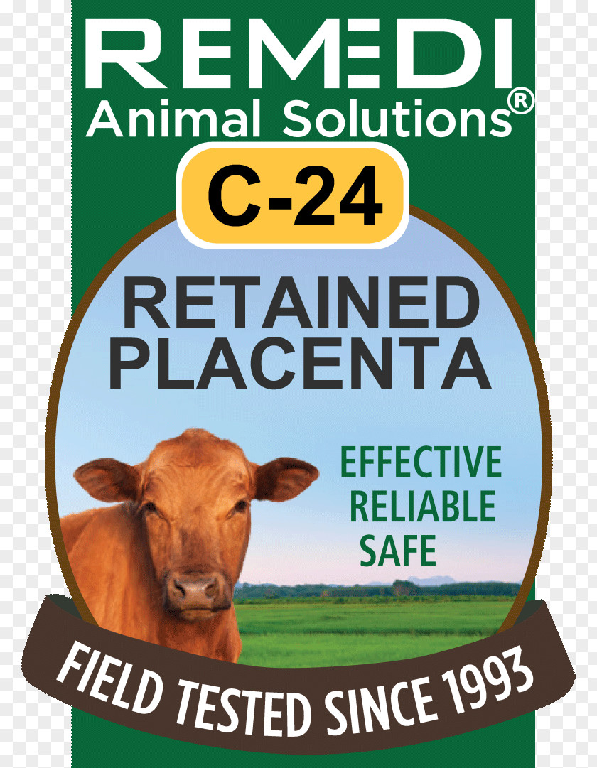 Beef Cattle Homeopathy Preventive Healthcare Safety Remedi Animal Solutions PNG