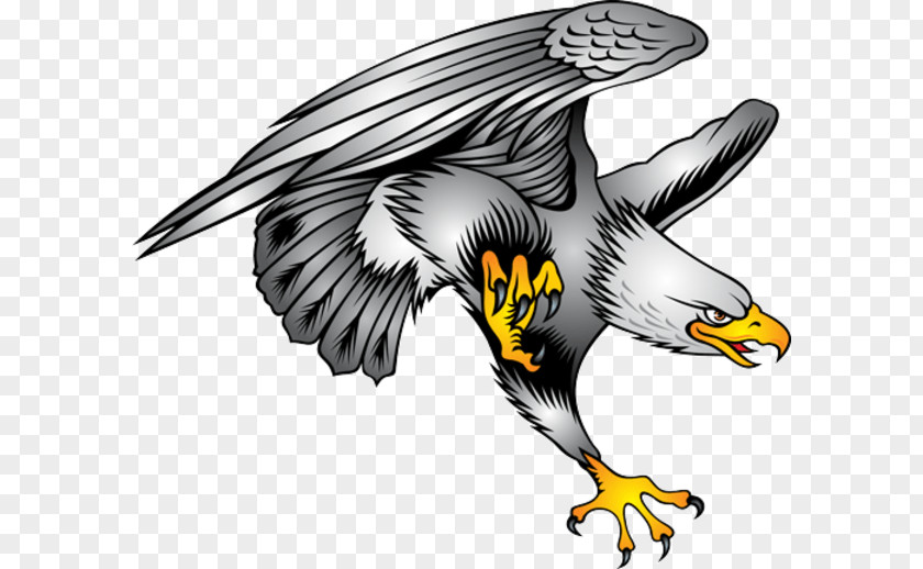 Eagle Tattoo Designs Clip Art Bald Symbol Illustration PNG