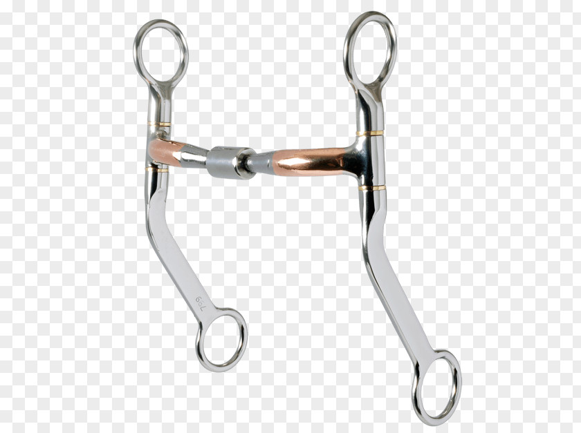 Horse Snaffle Bit Shank Curb PNG