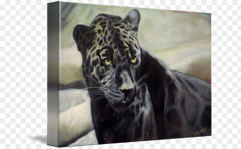 Tiger Jaguar Black Panther Leopard Lion PNG