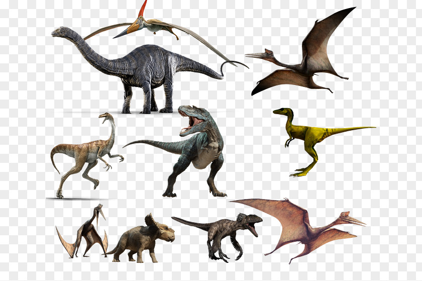 All Kinds Of Dinosaurs Tyrannosaurus Diplodocus Dinosaur Apatosaurus Anchiceratops PNG
