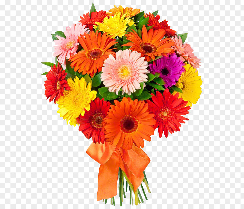 Bouquet Of Flowers Flower Floristry Transvaal Daisy Delivery PNG