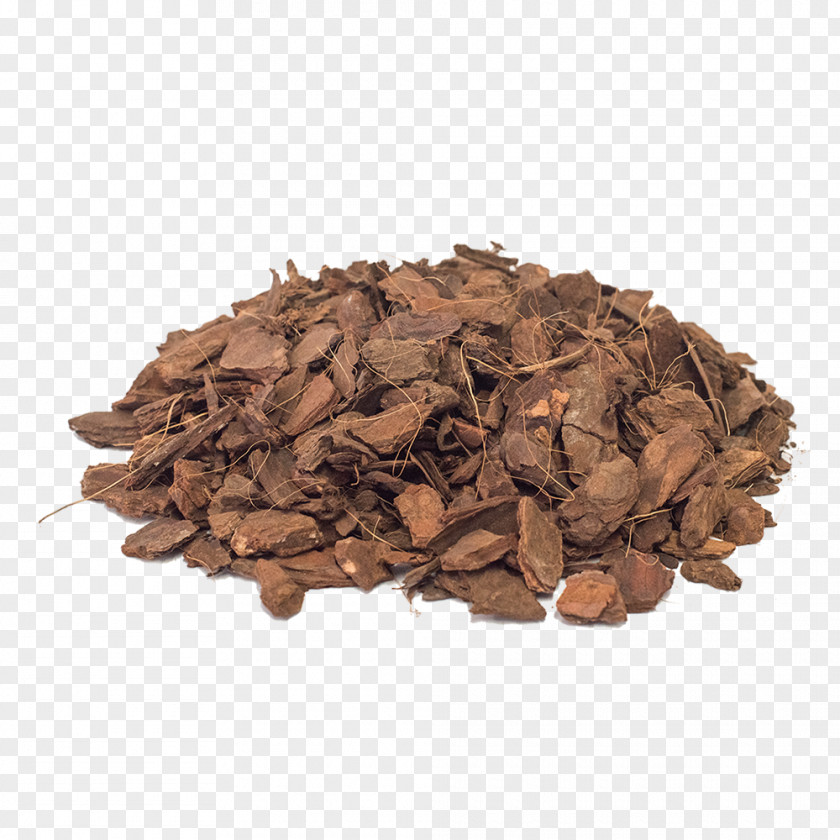 Calculadora Hōjicha Cocoa Bean Commodity Flavor Theobroma Cacao PNG