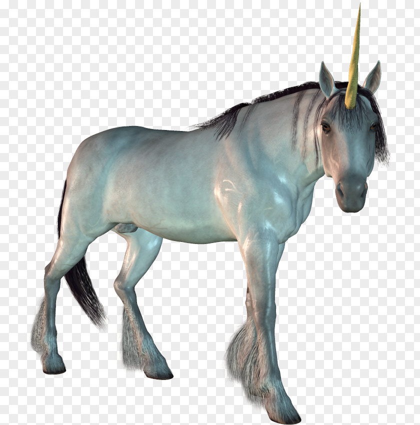 Mustang Stallion Mule Mare Unicorn PNG