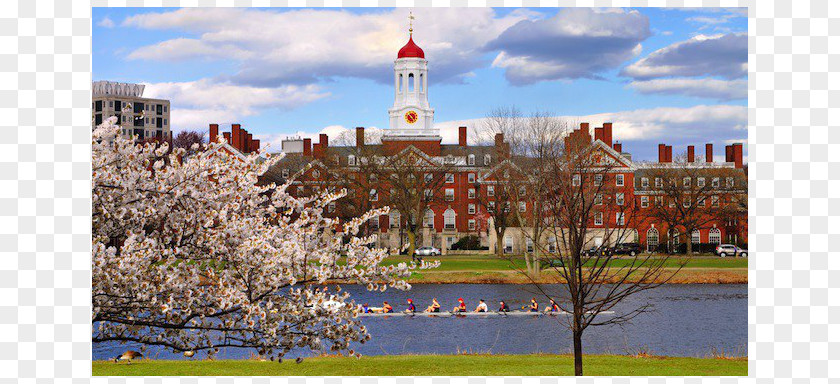 Student Harvard College University Ivy League Financial Endowment PNG