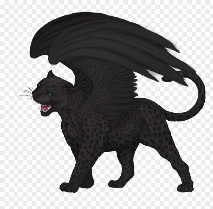 Black Panther Leopard Felidae Cat Drawing PNG