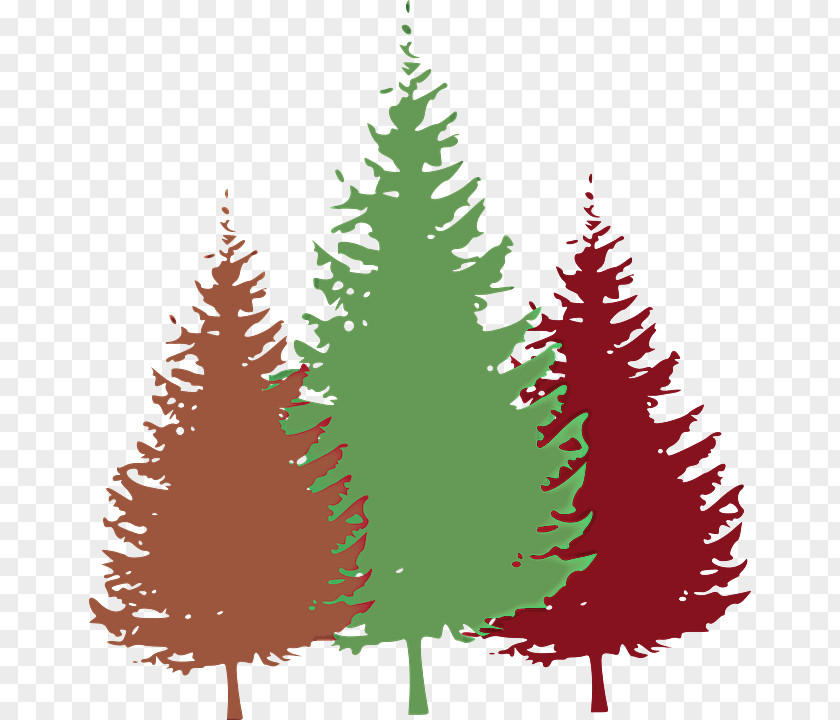 Lodgepole Pine Christmas Decoration Tree PNG