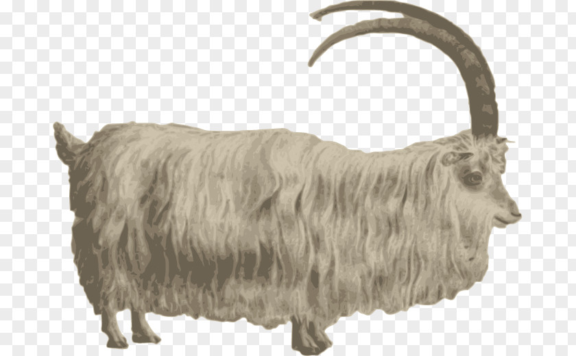 Vector Goat Mountain Barbary Sheep Clip Art PNG