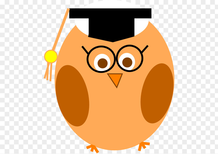 Wise Man Owl Clip Art PNG