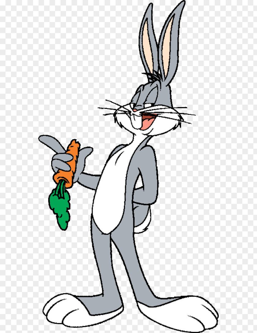 Bugs Bunny Elmer Fudd Rabbit Cartoon PNG
