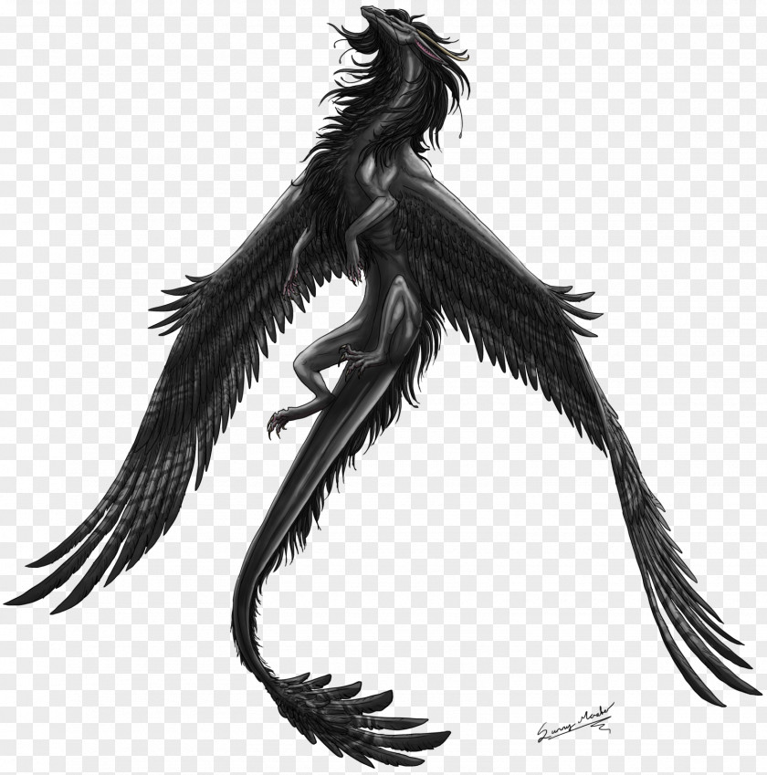 Dragon Feather Drawing Demon PNG