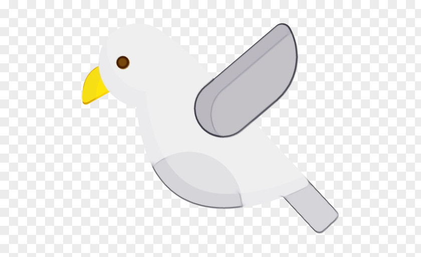 Albatross Seabird Duck Cartoon PNG