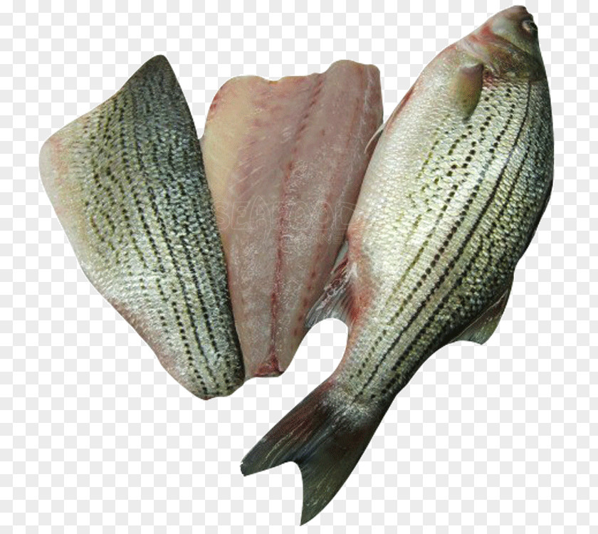 FISH BASS Striped Bass Fish Products Tilapia PNG