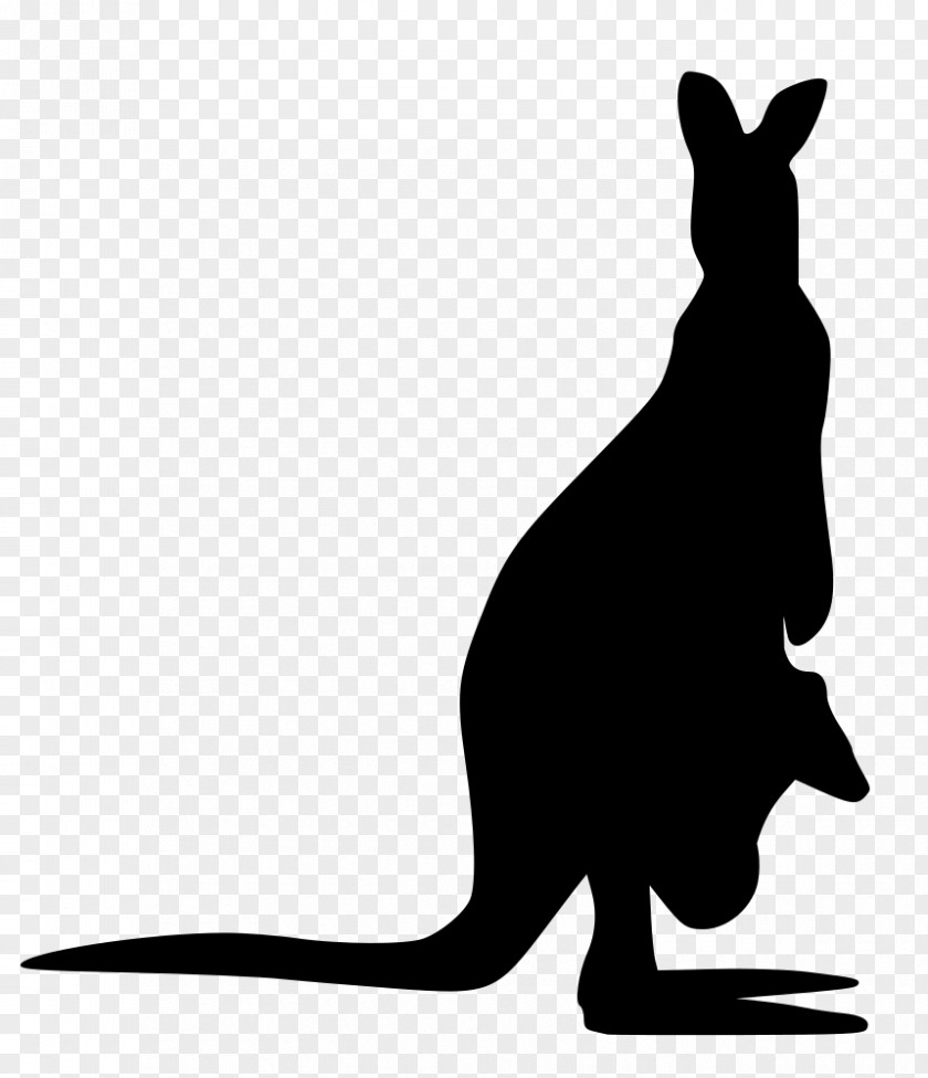 Kangaroo Silhouette Clip Art PNG