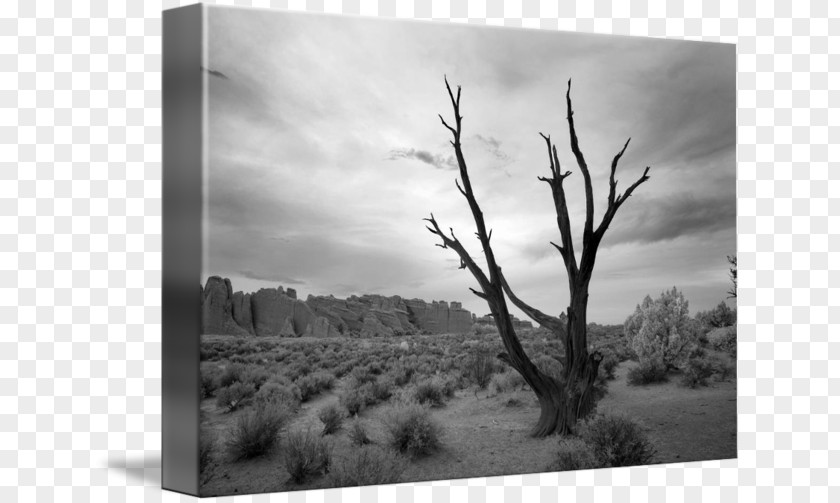 Landscape Painting Photography Bryce Canyon National Park PNG