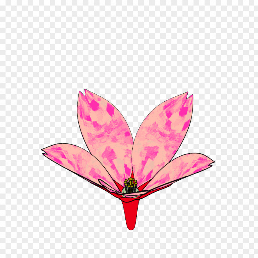 Leaf Flowering Plant Petal Pink M PNG