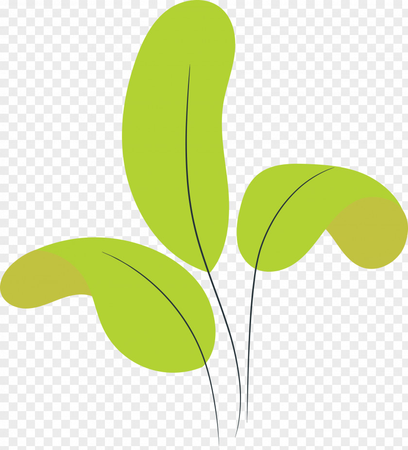 Leaf Plant Stem Green Line Meter PNG