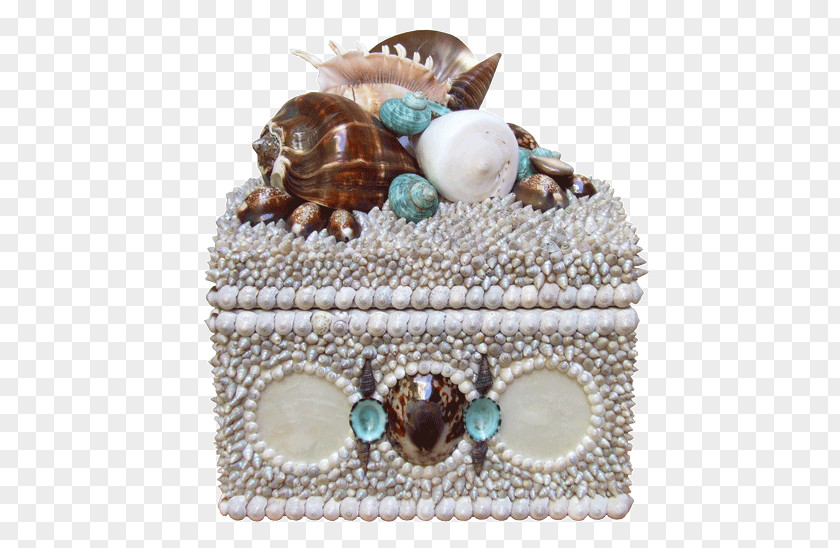 Perrin Caroline Mussel Seashell Turquoise Mollusc Shell PNG