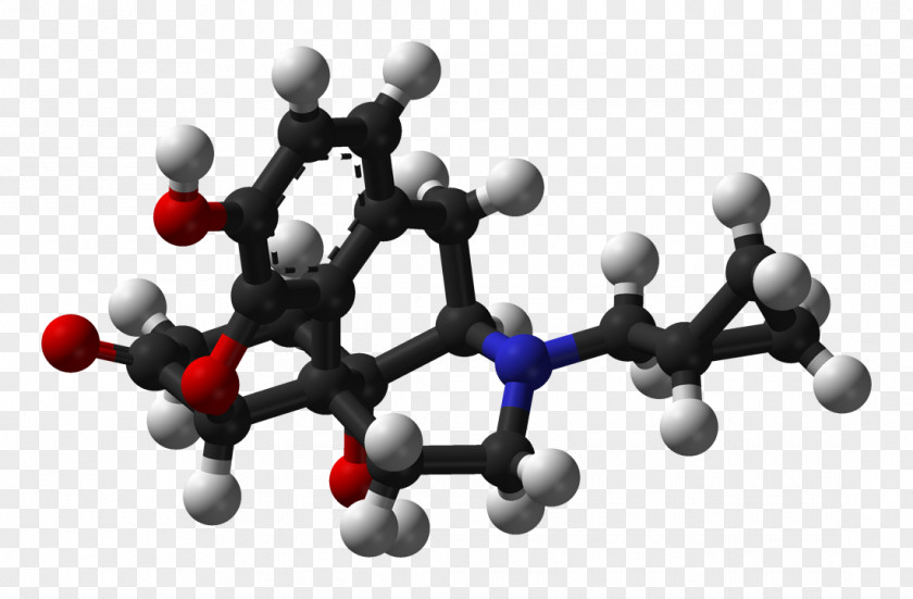Phenobarbital The Promise Of Low Dose Naltrexone Therapy: Potential Benefits In Cancer, Autoimmune, Neurological And Infectious Disorders Low-dose Opioid PNG
